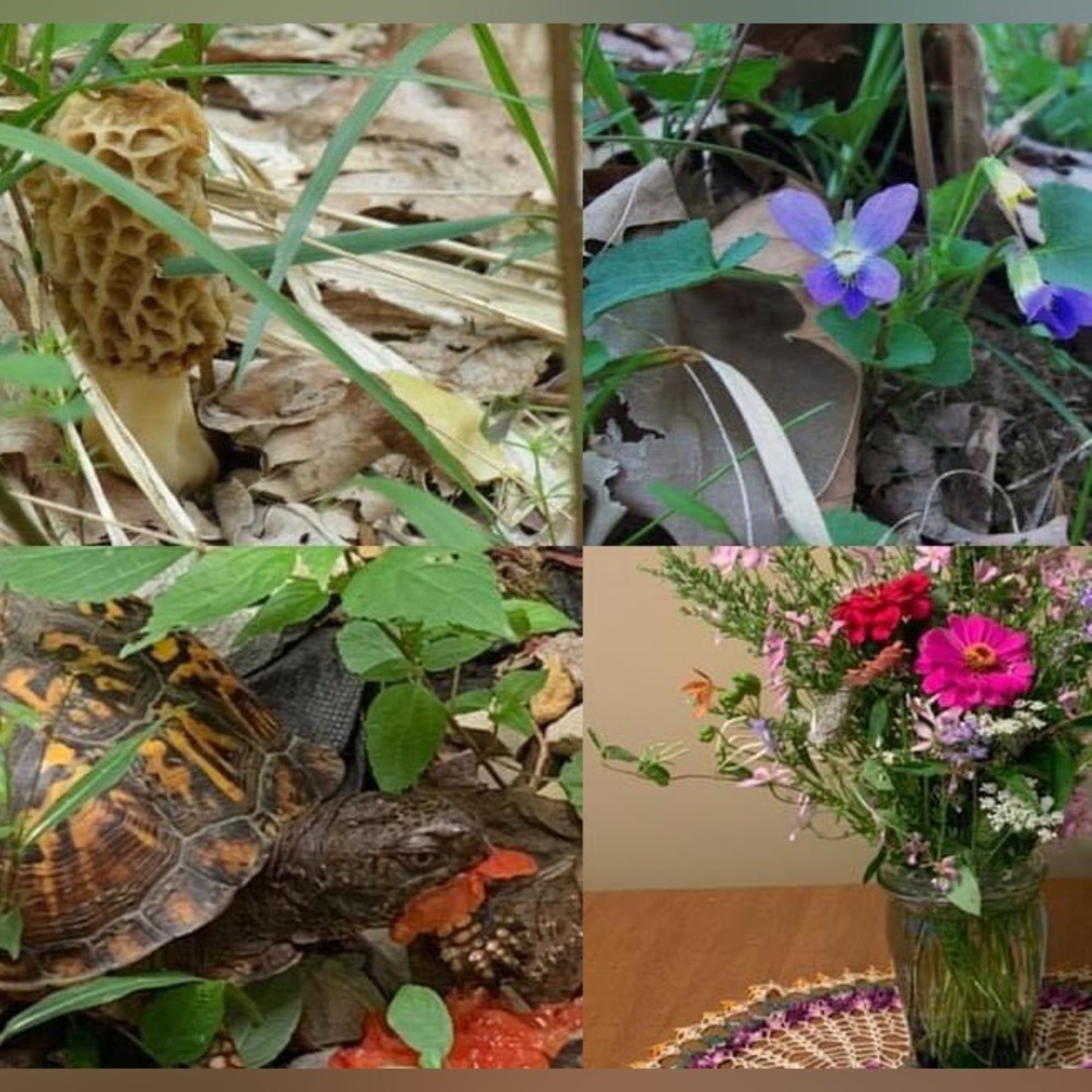 Meet your Posher, Mary